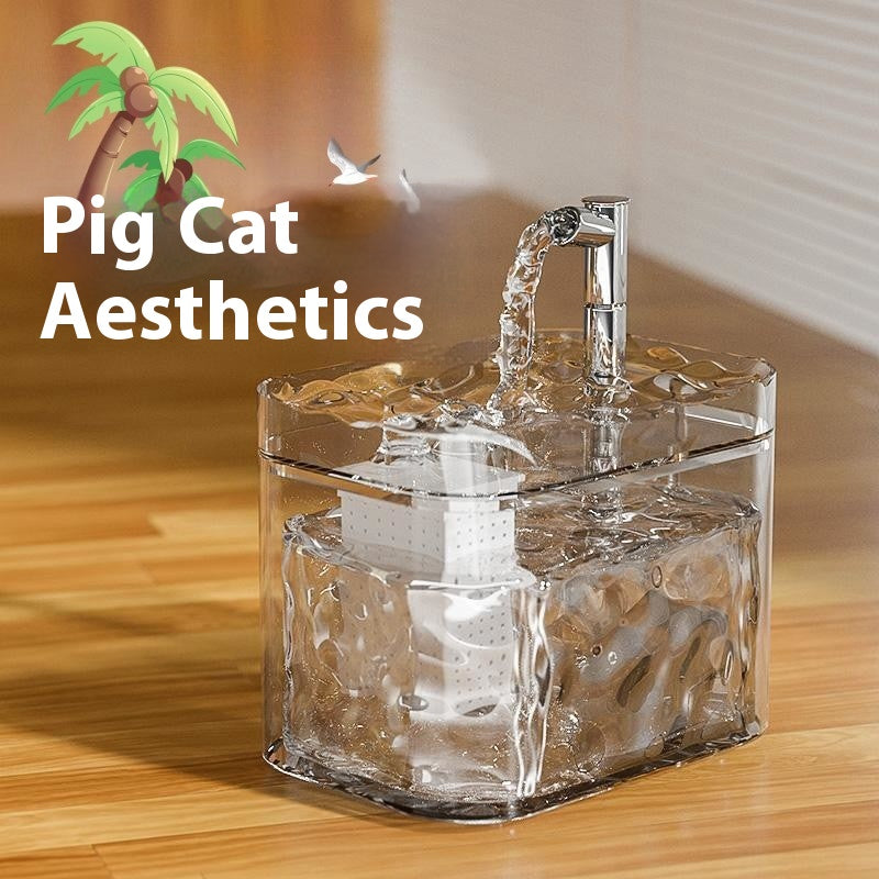 Crystal clear USB automatic circulation cat water fountain with silver faucet-style spout and filter box visible through the transparent body